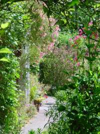 A partial view of The Bach Centre garden in Oxfordshire showing plants that Dr Edward Bach planted to use for his remedies.